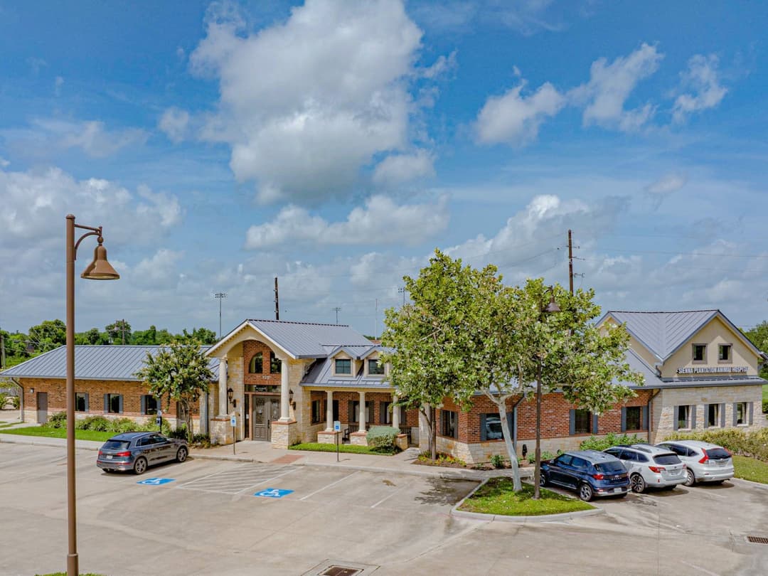 Image of Sienna Plantation Animal Hospital Property