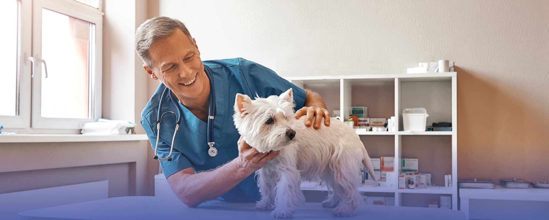 Is Veterinary Real Estate a Good Investment? featured image 