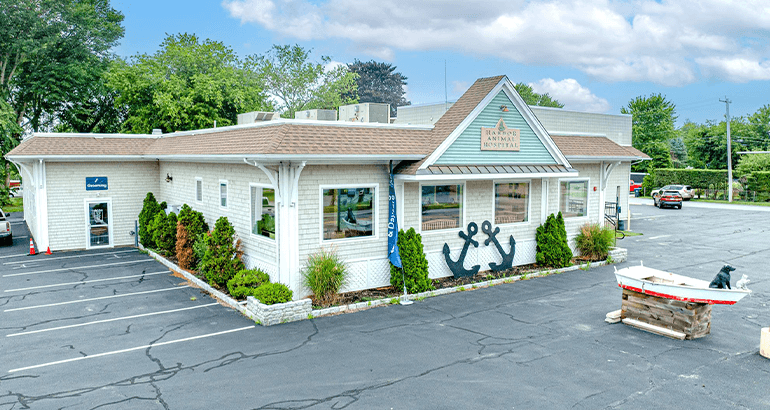 Image of HARBOR ANIMAL HOSPITAL Property