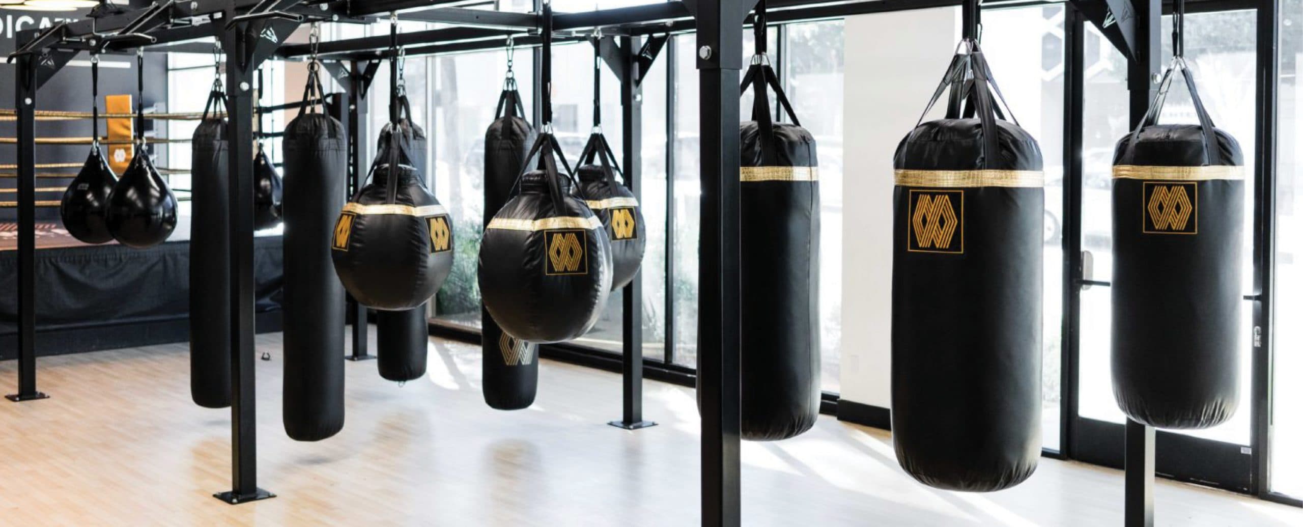 Case Study: Mayweather Boxing + Fitness image