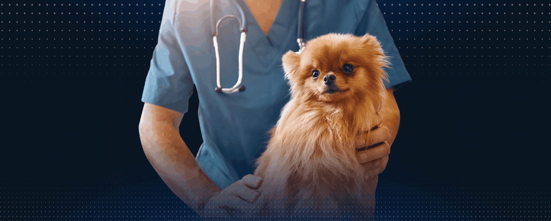 Veterinary Real Estate’s Response to the Pet Ownership Boom featured image 