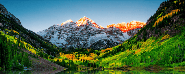 Image of Q225 | Retail Market Report | Denver, CO Success Story