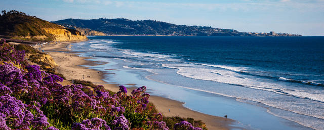 Image of Q225 | Multifamily Market Report | San Diego, CA Success Story