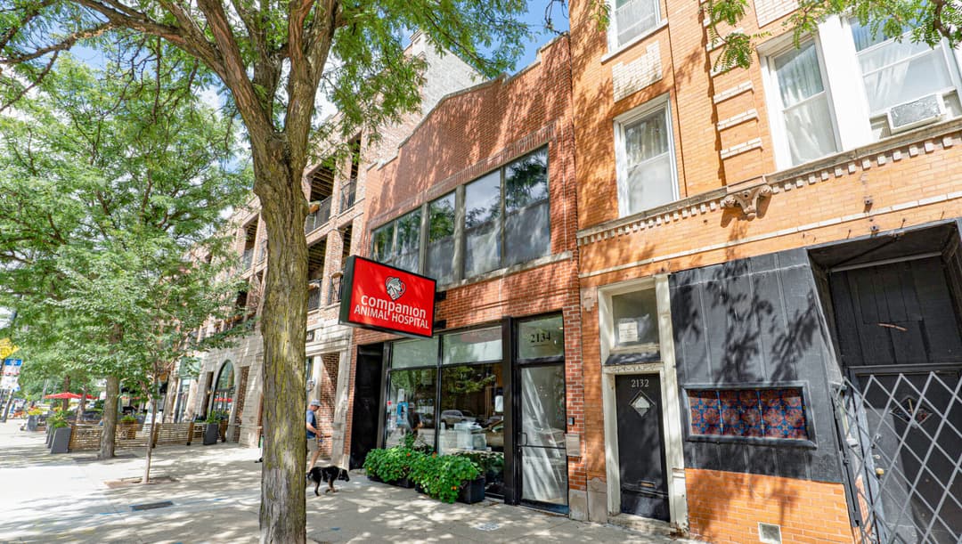 Image of Mission Pet Health Property
