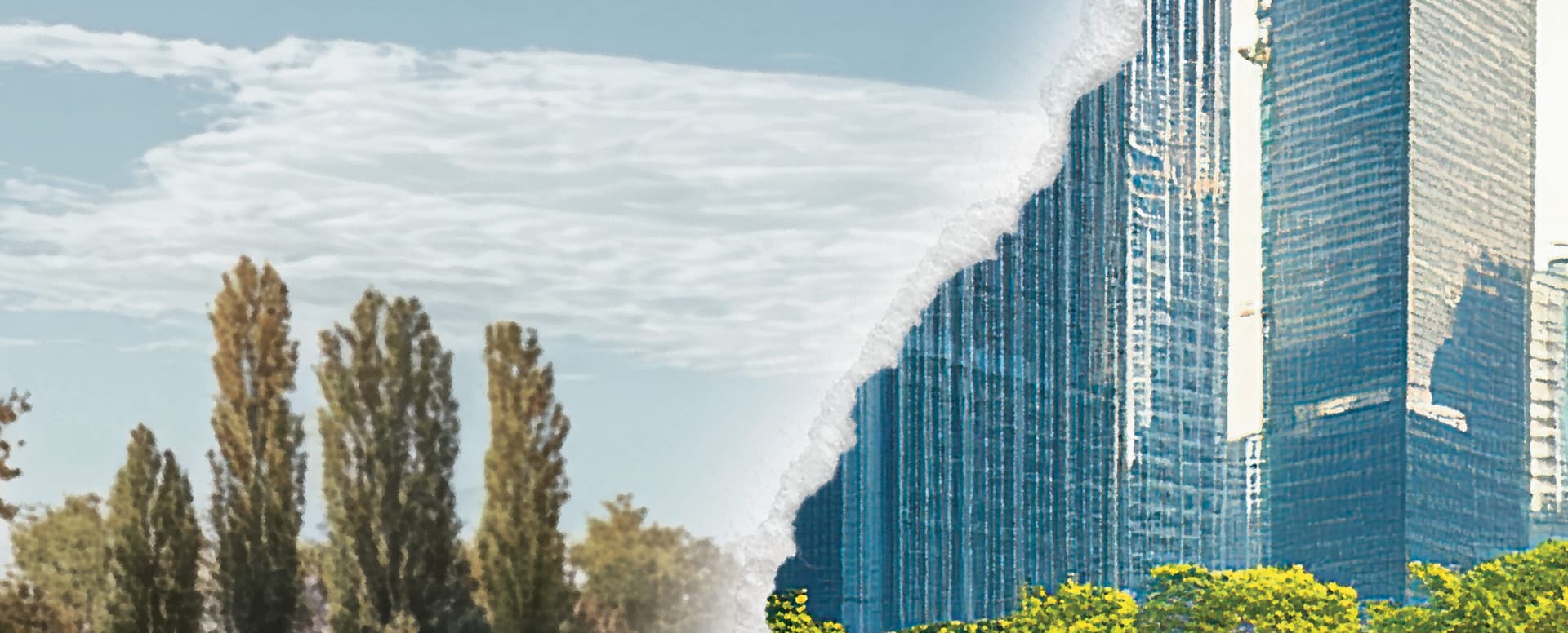 From Dirt to Deal: Unlocking Hidden Value featured image 