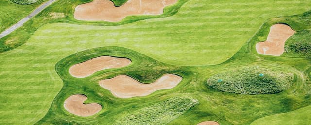 Image of Waste Management Phoenix Open 2026: Impact on CRE Success Story