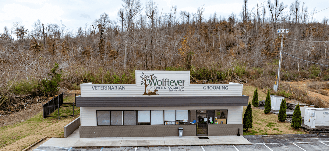 Image of Wolftever Pet Wellness Group Property
