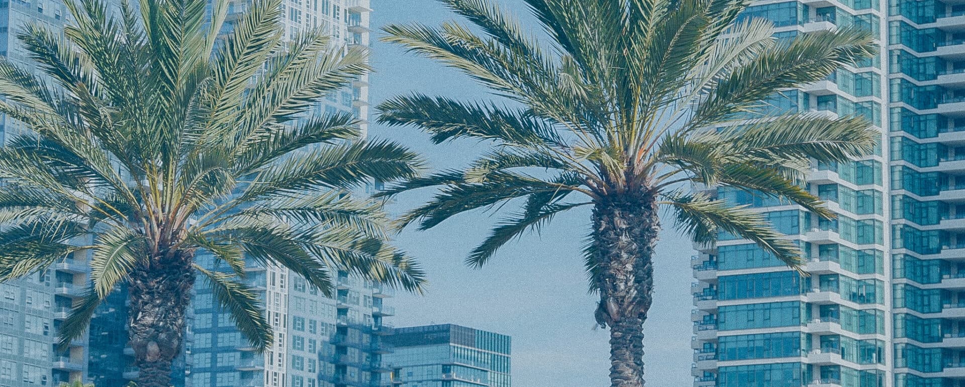 Los Angeles Eviction Legislation