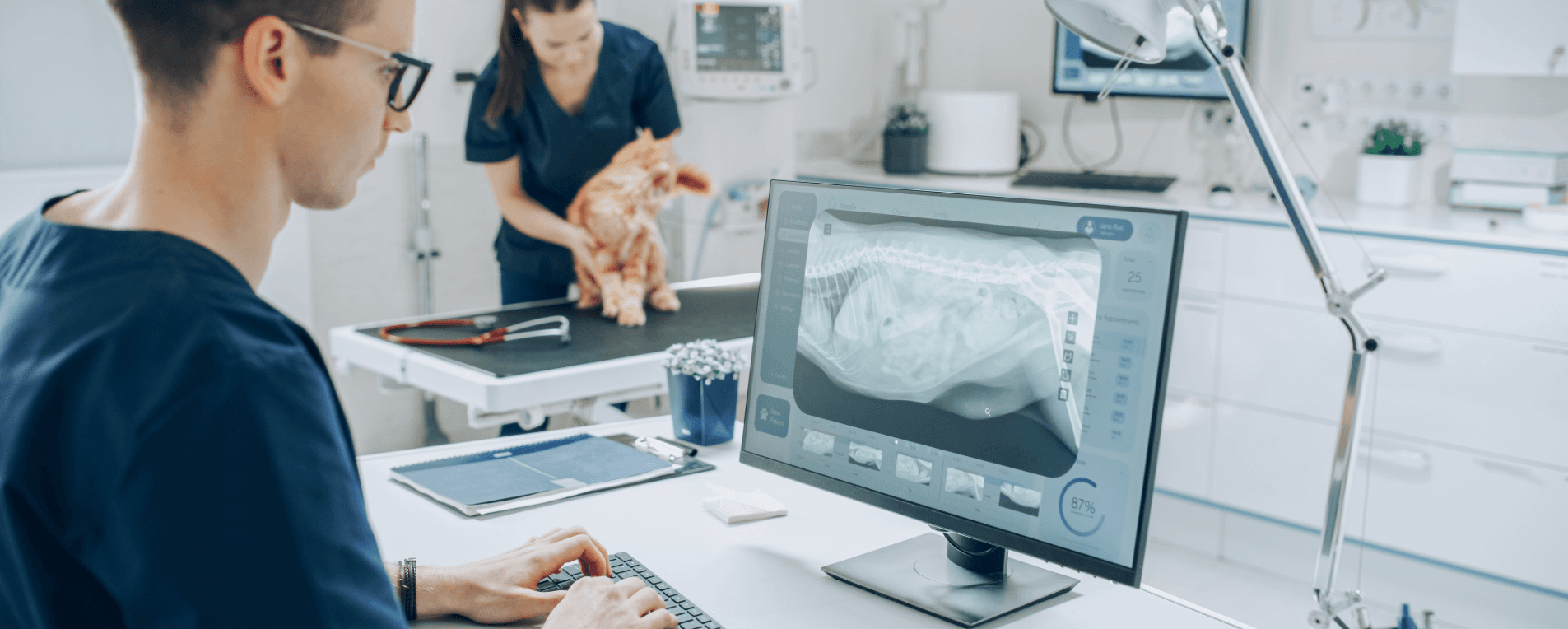 Blog Image for National Healthcare post