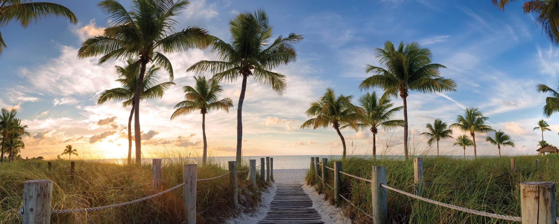 Shopping Centers Market Report | South Florida featured image