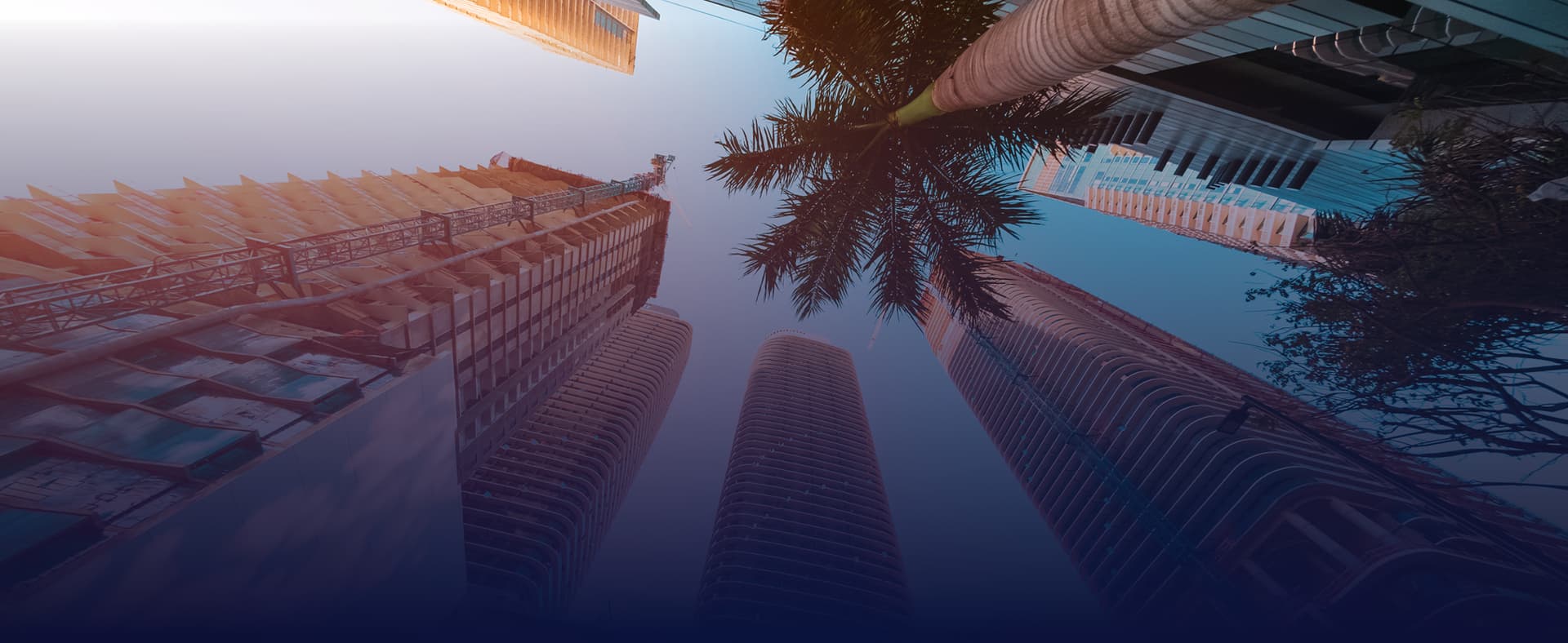 3Q24 | Hospitality Market Report | Miami, FL featured image