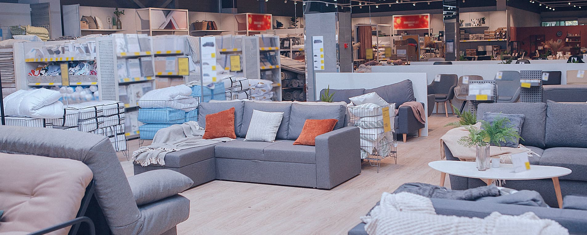 Financial Analysis on Bob’s Furniture IPO featured image