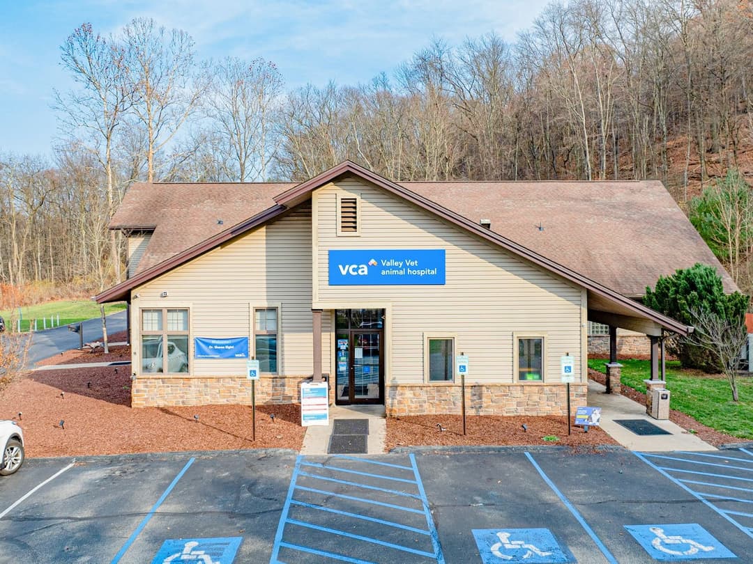 Image of Valley Vet Animal Hospital Property