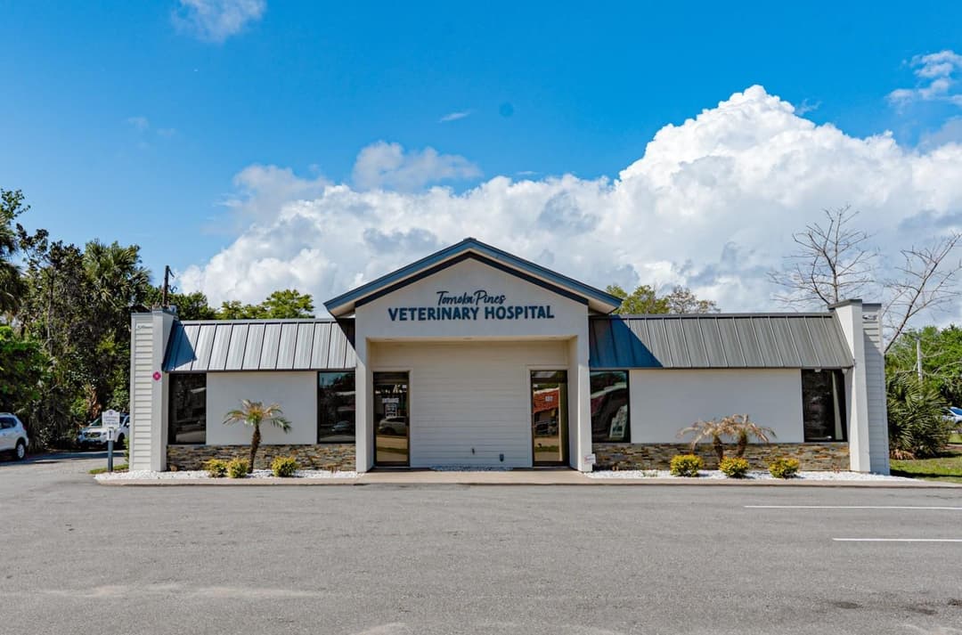 Image of Tomoka Pines Veterinary Hospital Property