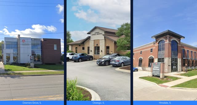 Veterinary hospital portfolio disposition properties in Illinois, representing the veterinary portfolio disposition Illinois transaction by Matthews.