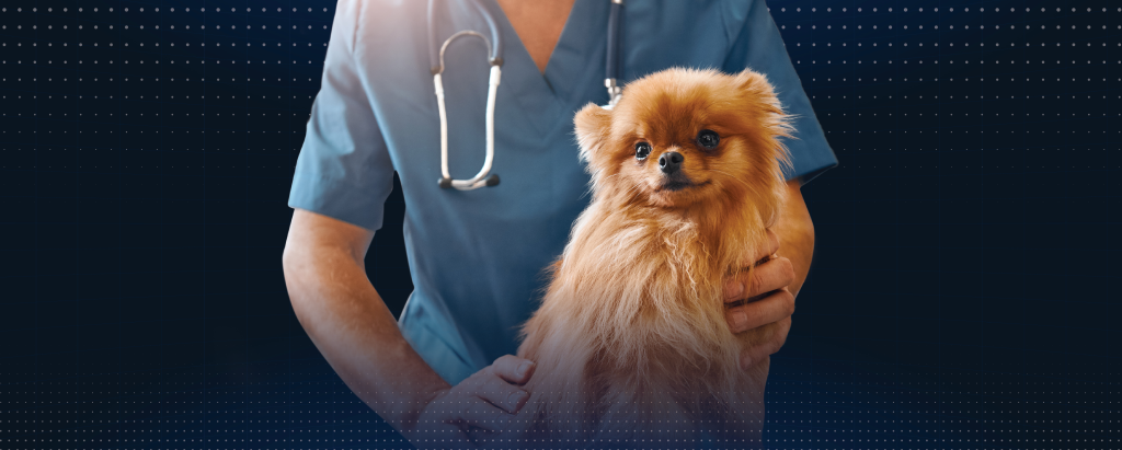 Veterinary Real Estate's Response to the Pet Ownership Boom